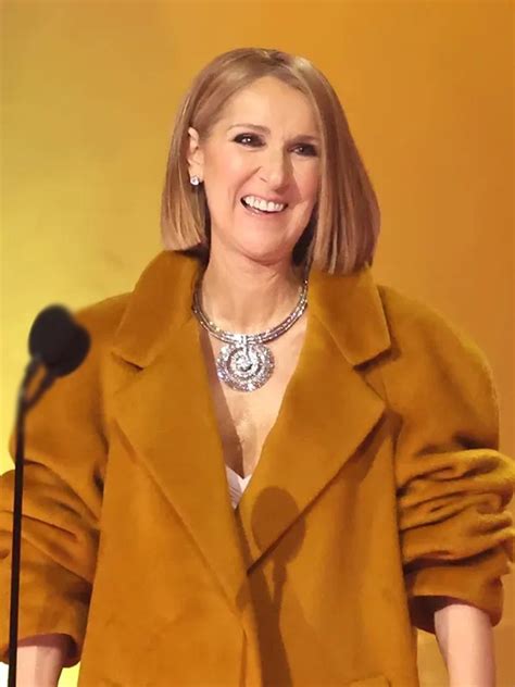 celine dion jacket grammys|who is Celine Dion.